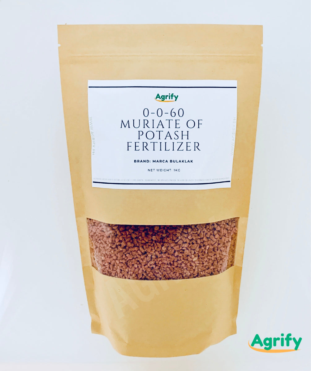 1KG Muriate of Potash Fertilizer 0 0 60