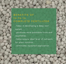 Load image into Gallery viewer, 1KG Triple 14 Complete Fertilizer (Swire)  14-14-14