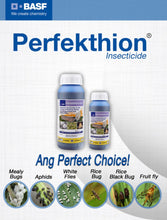 Load image into Gallery viewer, Perfektion 1Liter