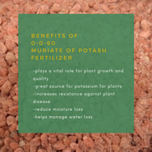 Load image into Gallery viewer, 1KG Muriate of Potash Fertilizer 0-0-60