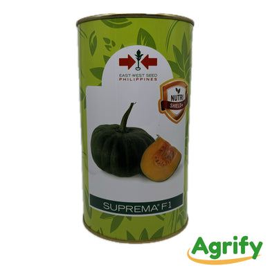 Suprema F1 250g East West Seeds