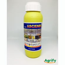 Load image into Gallery viewer, Ascend  500ml
