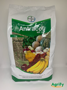Antracol WP 70 1KG