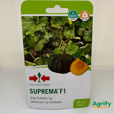 Suprema F1 Kalabasa Squash Seeds Eastwest