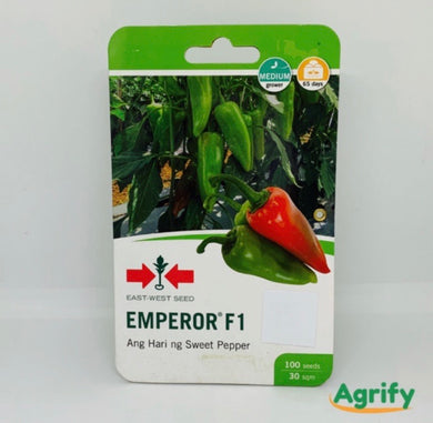 Emperor F1 Seeds