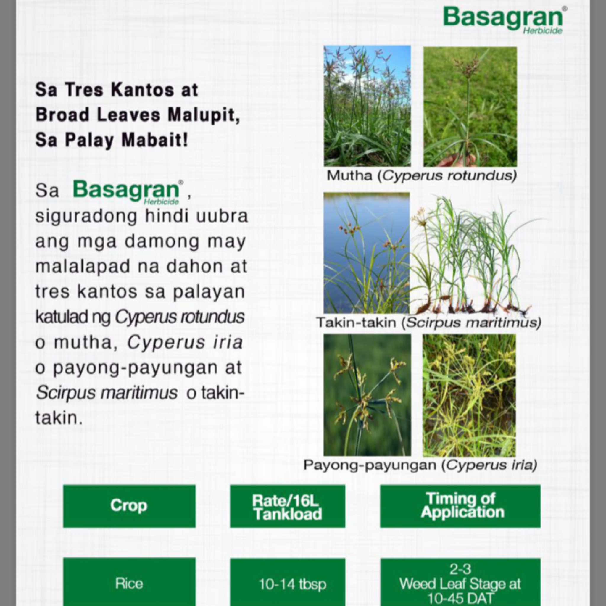 basagran herbicide dosage Basagran 48SL 1Liter – Agrify