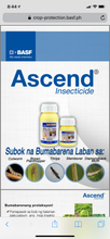 Load image into Gallery viewer, Ascend  250ml