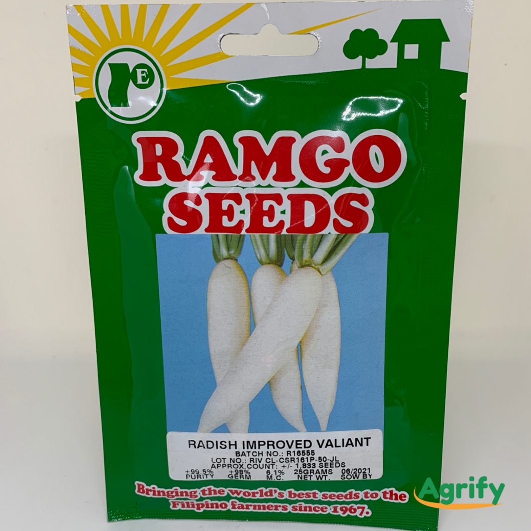 Radish Improve Valiant Seeds