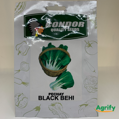 Pechay Black Behi Seeds